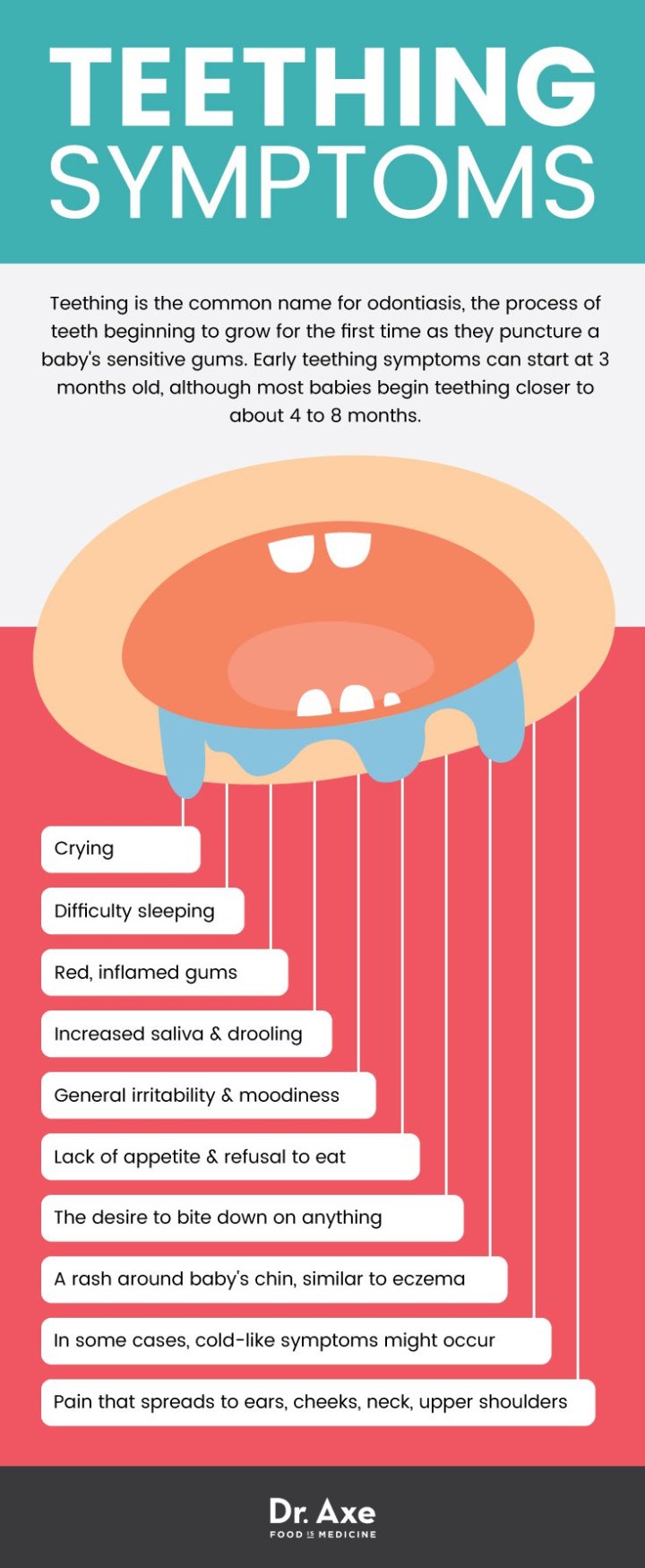 Teething symptoms - Dr. Axe